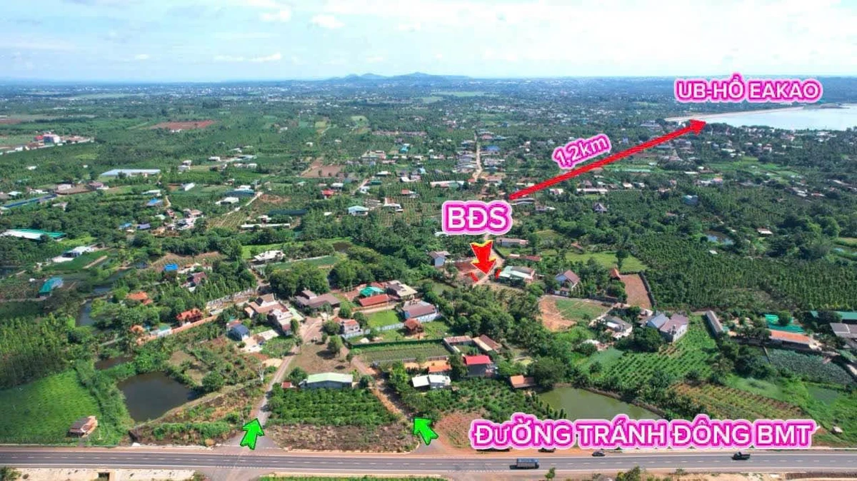 Bán 1.300m2 đất nền Phường EaKao, Đắk Lắk, 60m mặt tiền - Ảnh thu nhỏ 2