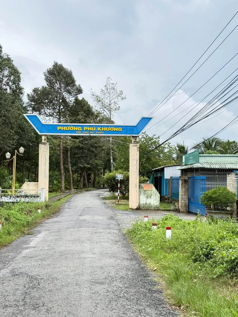 Bán đất mặt tiền 500m² Nhơn Thạnh, Bến Tre - Ảnh 1