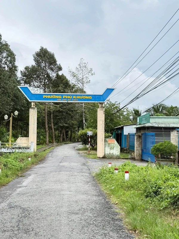 Bán đất mặt tiền 500m² Nhơn Thạnh, Bến Tre