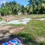 Bán đất mặt tiền Thành Sang, KCN Giao Long 445m2 - Ảnh thu nhỏ 3