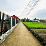 Bán 3700m² đất lúa Phước Hậu Cần Giuộc - Ảnh thu nhỏ 1