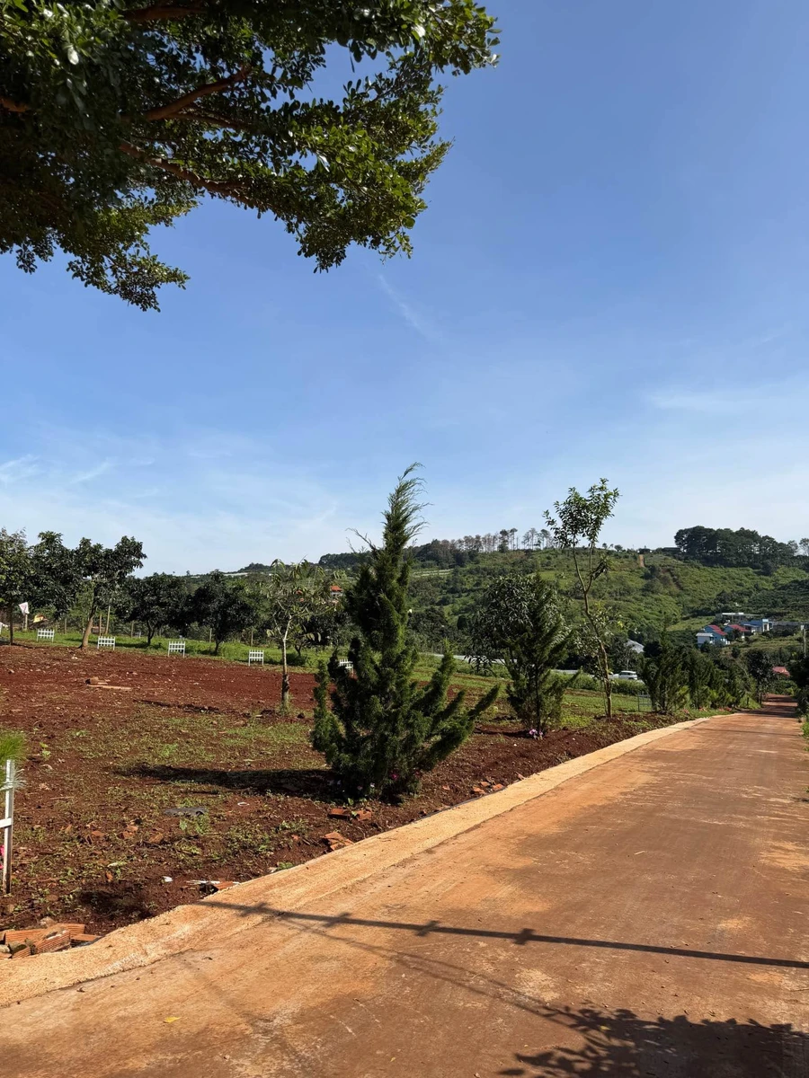 Bán lô đất 200m² Nam Ban Lâm Hà 3.3tr/m² - Ảnh thu nhỏ 3