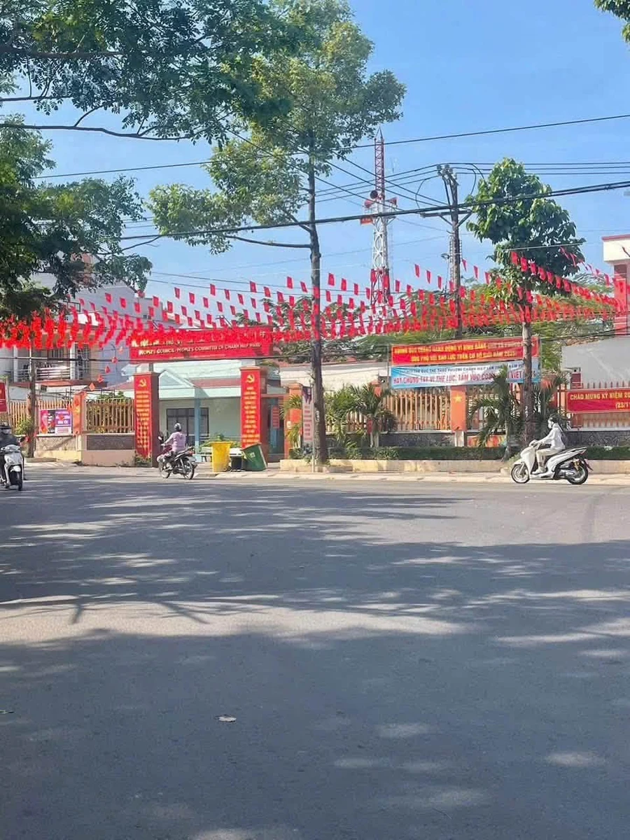 Bán đất mặt tiền Bùi Ngọc Thu 160m2, 10 tỷ, Chánh Hiệp - Ảnh thu nhỏ 5