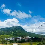 Bán đất Định An Đà Lạt 100m² 950 triệu - Ảnh thu nhỏ 2
