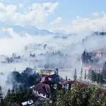BÁN ĐẤT FULL THỔ CƯ 233,6M² GẦN CHỢ SA PA GIÁ 16 TỶ CÓ THƯƠNG LƯỢNG - Ảnh thu nhỏ 3