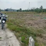 Bán đất 165m² Gò Công Đông Tiền Giang giá 140 triệu - Ảnh thu nhỏ 1