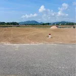 Bán đất nhà vườn 1130m2 view cánh đồng gần biển Phước Hải - Ảnh thu nhỏ 1