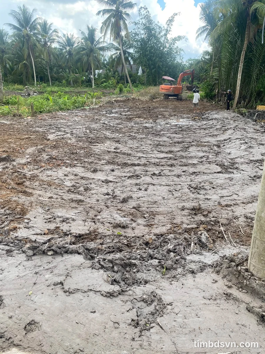 Bán nền đất Tám Bình Bình Chánh 85m² giá 130 triệu - Ảnh thu nhỏ 3