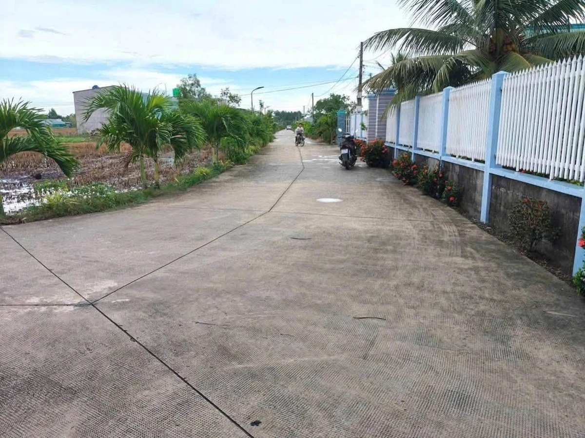 Bán đất lúa 2 mặt tiền 868m² Tân Trụ, Long An 1 tỷ 800 - Ảnh thu nhỏ 4