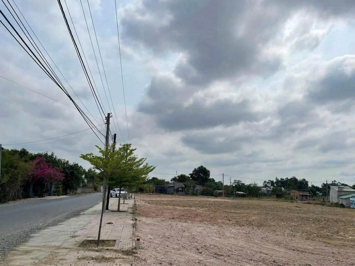 Bán đất Châu Pha mặt tiền đường nhựa 14,500m² giá 920 triệu - Ảnh thu nhỏ 4
