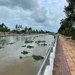 Bán nền mặt tiền Nguyễn Huệ 235m² Hậu Giang 1,5 tỷ - Ảnh thu nhỏ 2