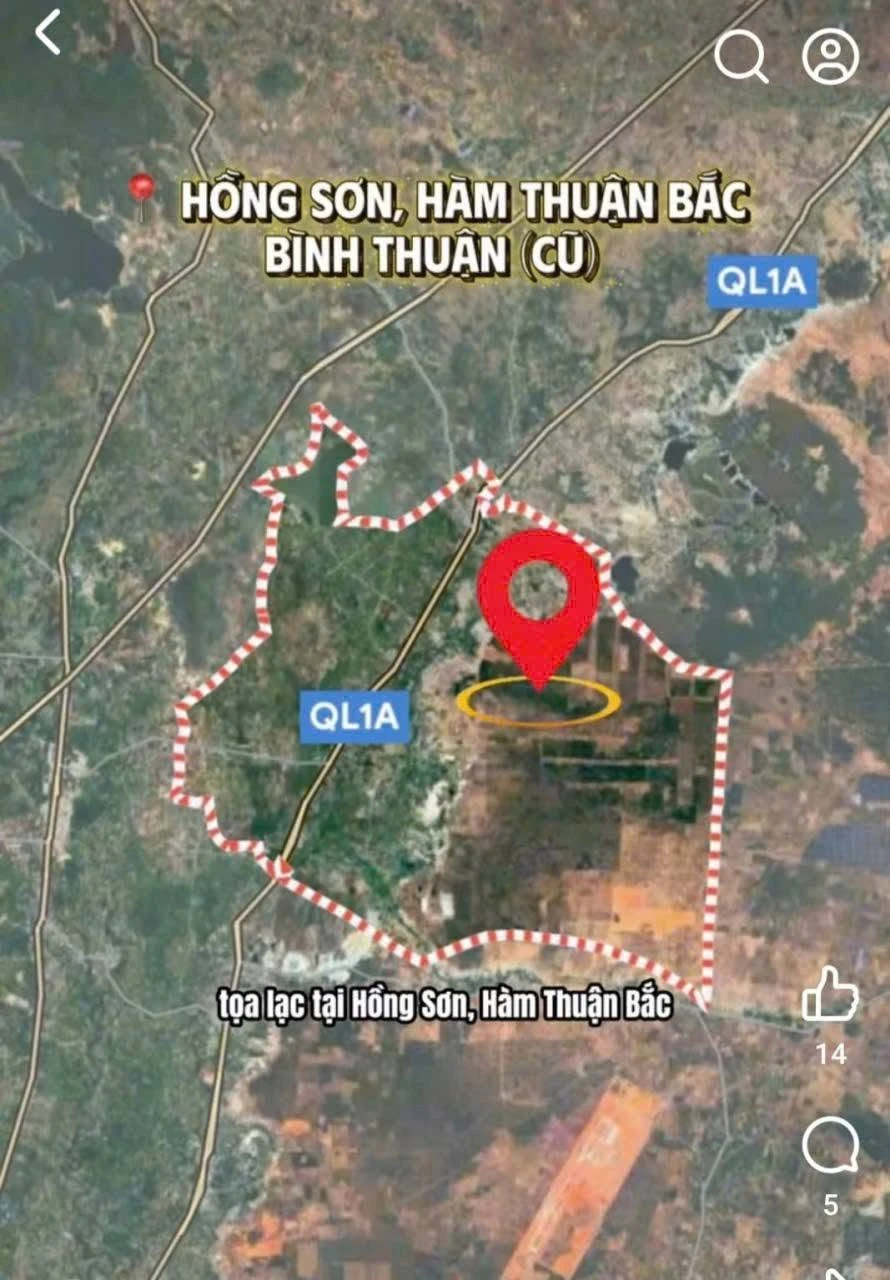 Bán đất nông nghiệp 17 ha tại Hà Tây, mặt tiền Nguyễn Trãi - Ảnh 1