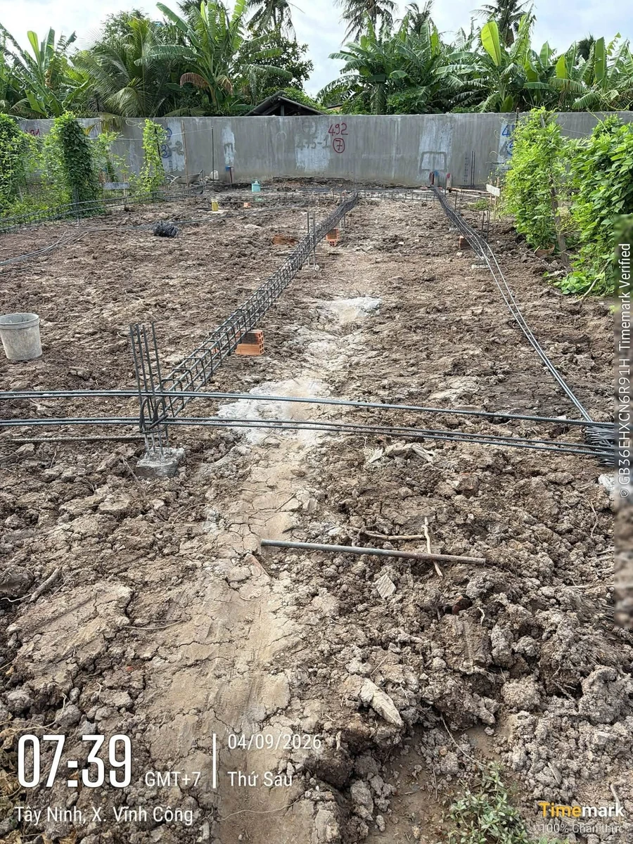 Bán 8 lô đất 5x27m tại Hòa Phú, Châu Thành, Long An - Ảnh thu nhỏ 5