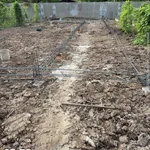Bán 8 lô đất 5x27m tại Hòa Phú, Châu Thành, Long An - Ảnh thu nhỏ 5
