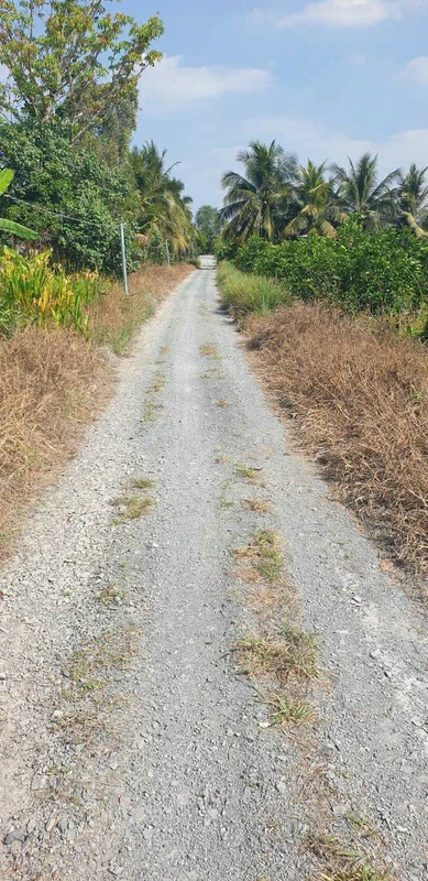 Bán 1000m² đất vườn Thủ Thừa, Long An, 590 triệu