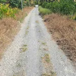 Bán 1000m² đất vườn Thủ Thừa, Long An, 590 triệu - Ảnh thu nhỏ 1