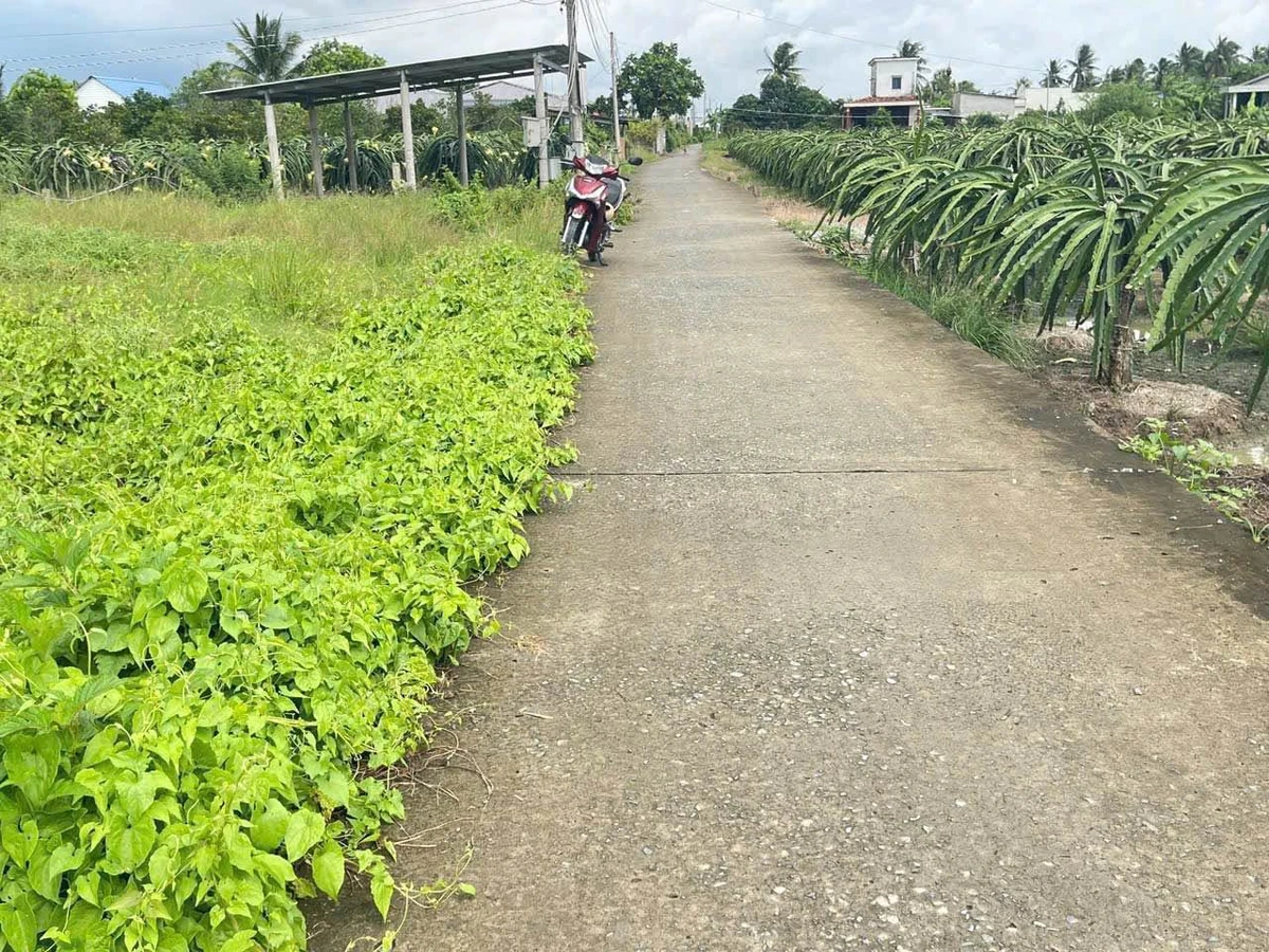 Bán đất 3023 m2 Tây Ninh 450 triệu/1000 m2 - Ảnh 1