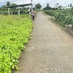 Bán đất 3023 m2 Tây Ninh 450 triệu/1000 m2 - Ảnh thu nhỏ 1