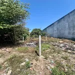 Bán mảnh đất 239m² Diên Khánh 1,28 tỷ - Ảnh thu nhỏ 4