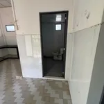 Bán đất 110m² tặng nhà cấp bốn Sơn Đông Bến Tre - Ảnh thu nhỏ 5
