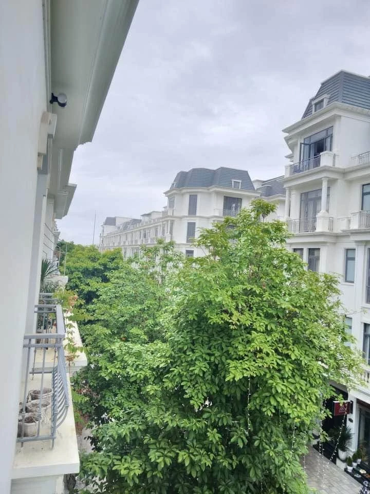 Bán biệt thự liền kề Hoa Hồng 87.5 m2 tại Vinhomes Thanh Hóa 7 tỷ - Ảnh thu nhỏ 2