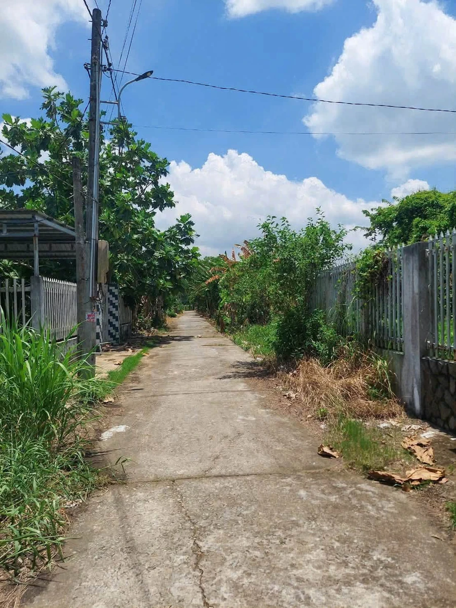 Bán đất Phường Phú Khương 221m2, 790 triệu - Ảnh thu nhỏ 3
