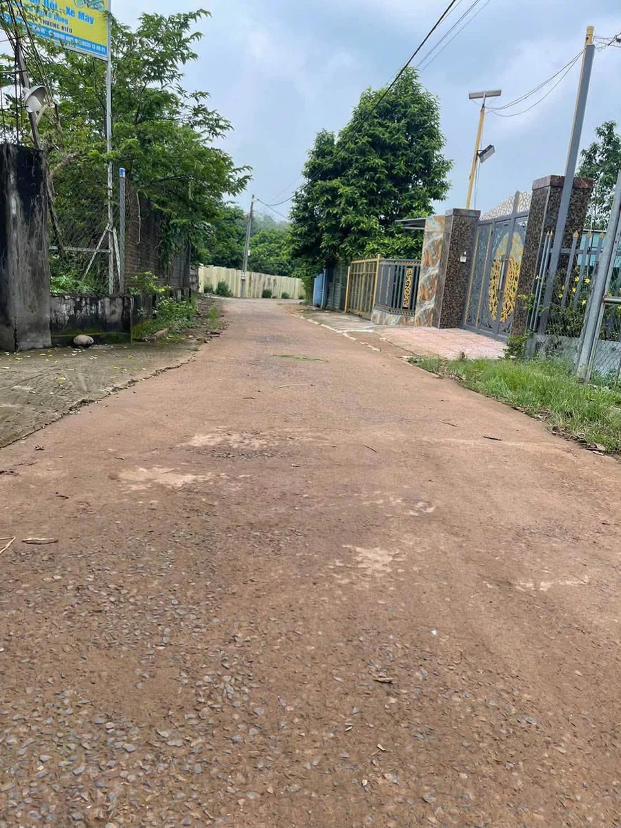 Bán đất 6600m² sổ riêng Đường 769, Bình Dương - Ảnh thu nhỏ 2