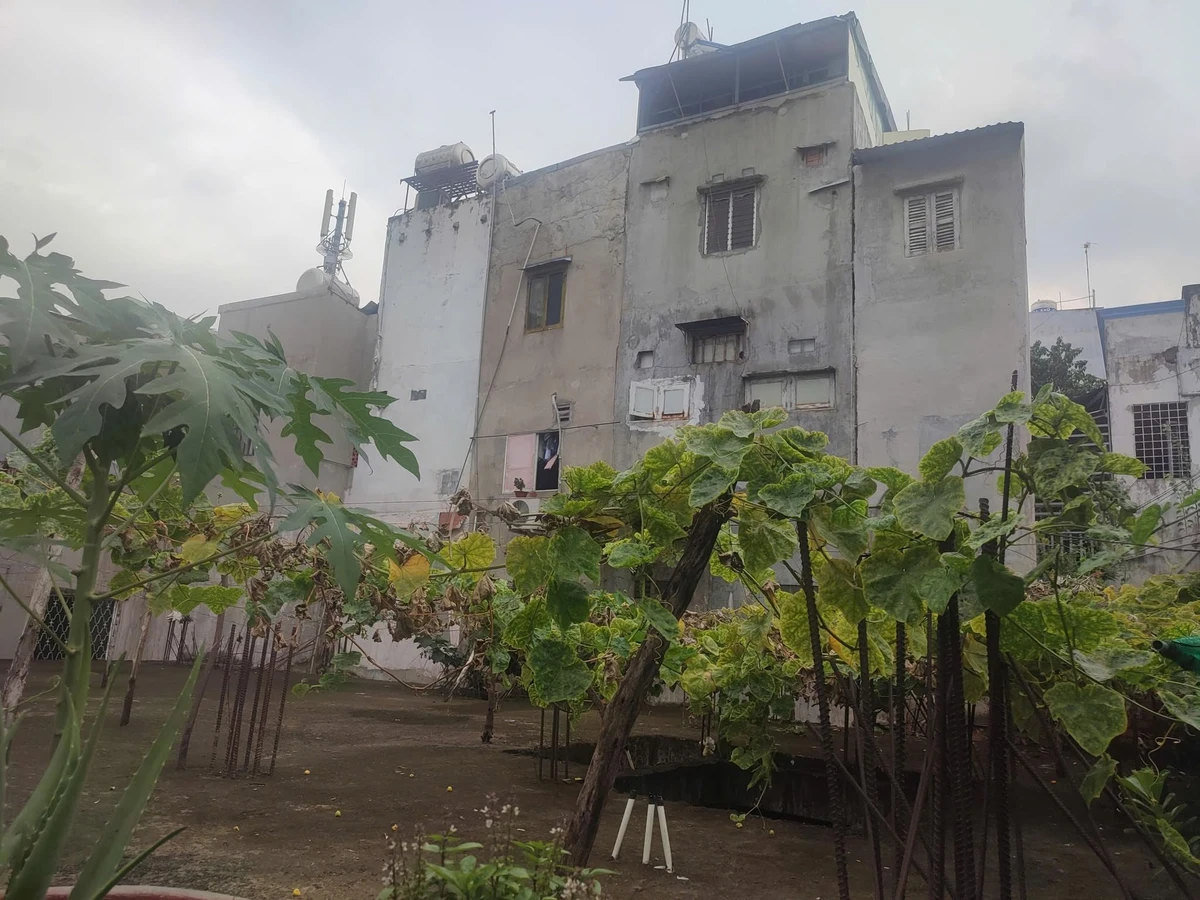 Bán đất hẻm Chu Văn An, Bình Thạnh, 240m², 22 tỷ - Ảnh thu nhỏ 3