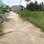 Bán đất xây nhà vườn 980m² tại Tân An, Long An - Ảnh thu nhỏ 1