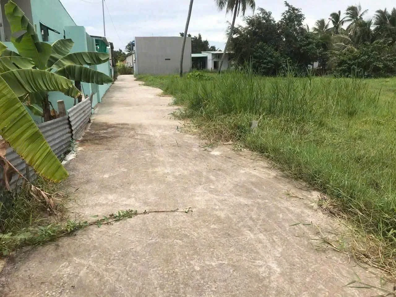 Bán đất xây nhà vườn 980m² tại Tân An, Long An - Ảnh 1