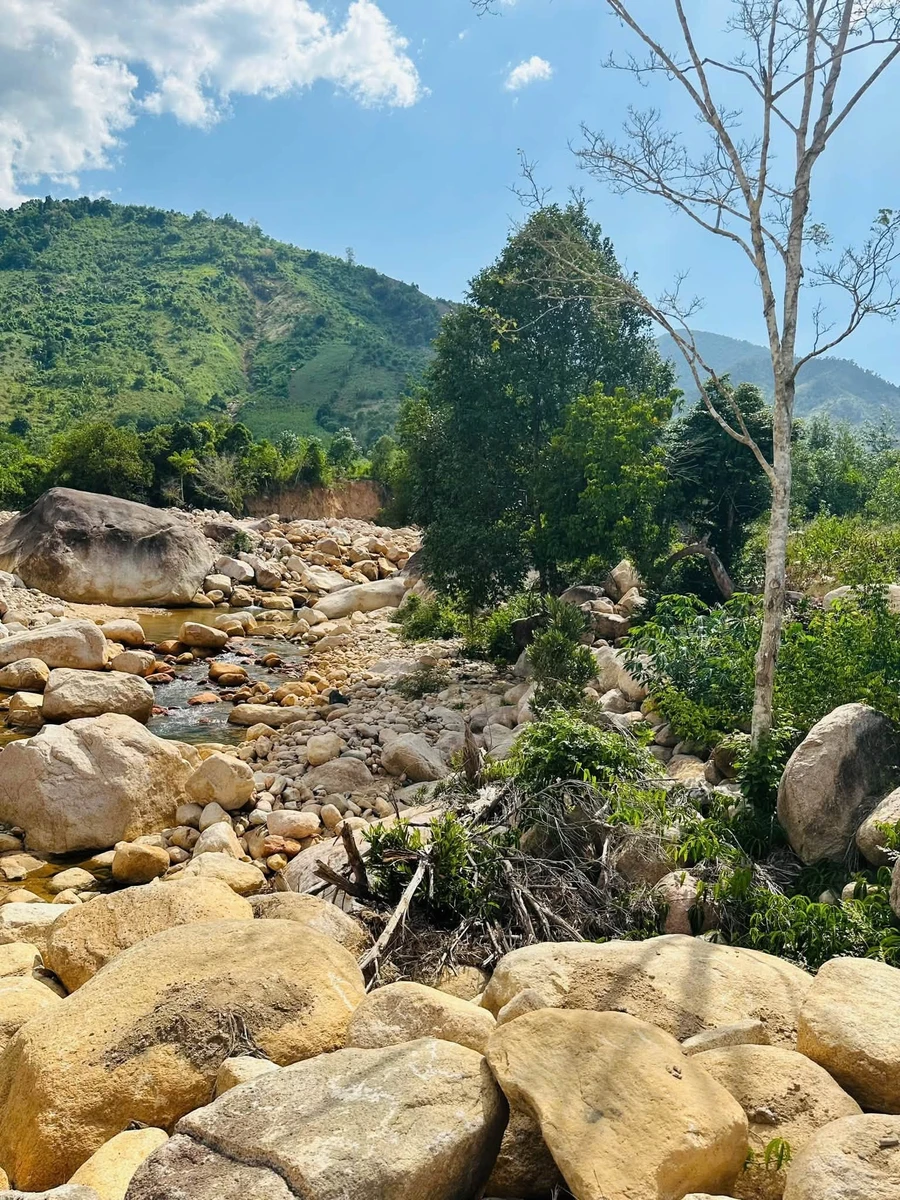 Bán đất 10.000m2 thương mại dịch vụ Nha Trang 3,2 tỷ - Ảnh thu nhỏ 2