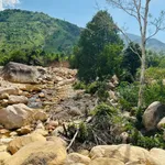 Bán đất 10.000m2 thương mại dịch vụ Nha Trang 3,2 tỷ - Ảnh thu nhỏ 2
