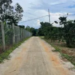Bán đất 20x33m mặt tiền đường bê tông giá 570 triệu tại Nghĩa Phú, Gia Nghĩa, Lâm Đồng - Ảnh thu nhỏ 2