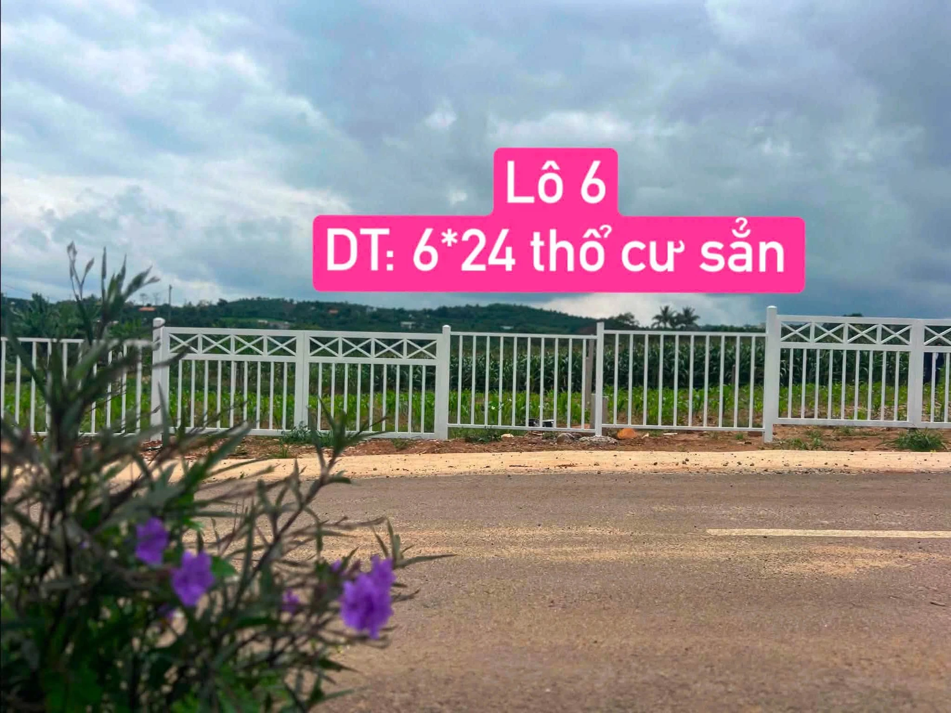 Bán lô đất mặt tiền Võ Thị Sáu 6x24m (144m²), sổ hồng sẵn - 335 triệu - Ảnh 1