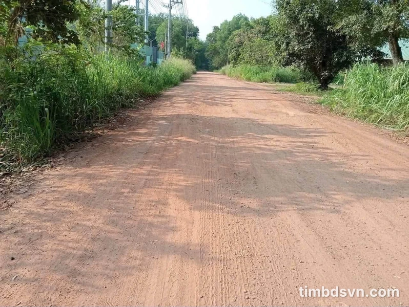 Bán đất nền 5x26x60m2 đường Kho Lúa An Tây, Bình Tân 1 tỷ 6