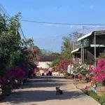 Bán lô đất 240m² Xã Xuyên Mộc, Nhà Bè - Ảnh thu nhỏ 2