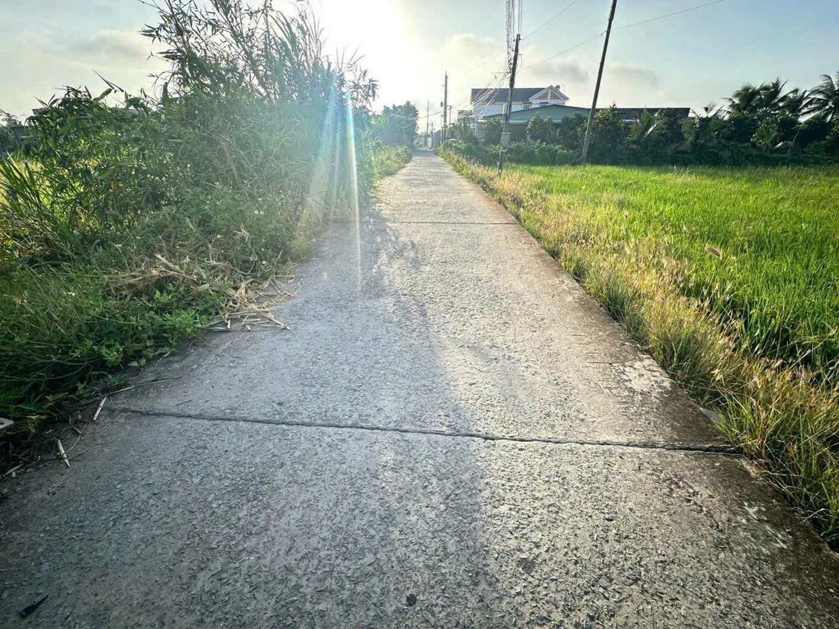 Bán lô đất 1990m² có thổ cư tại Bến Lức, Long An - Ảnh thu nhỏ 3