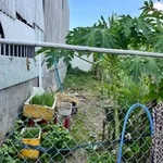 Bán nhà Quận 1 gần Cây Vông, 92m2, 890 triệu - Ảnh thu nhỏ 4