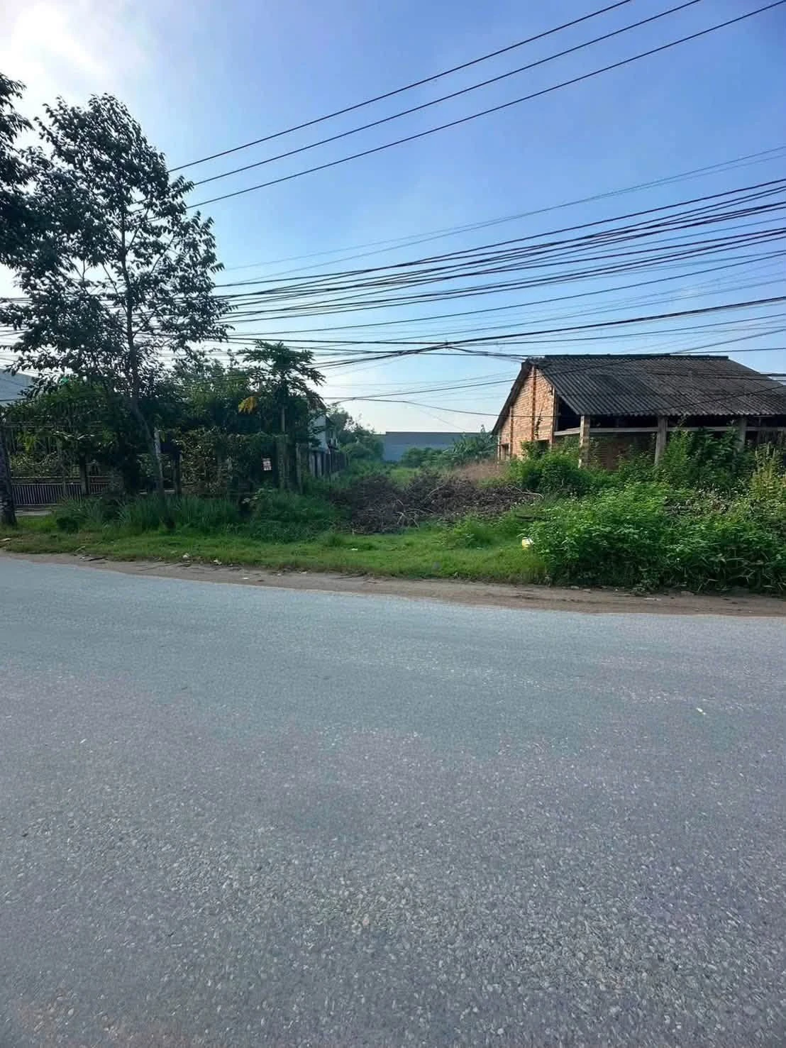 Bán lô đất 351m2 Mỹ Hạnh Tây Ninh giá 2,5 tỷ - Ảnh 1