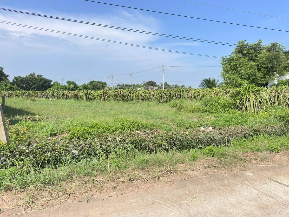 Bán lô đất thổ cư 200m² Xã Tuyên Quang, Lâm Đồng - Ảnh thu nhỏ 3