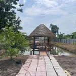 Bán đất 5700m² Cầu Ngã Cạy Cái Chanh 8 tỷ 5 - Ảnh thu nhỏ 4