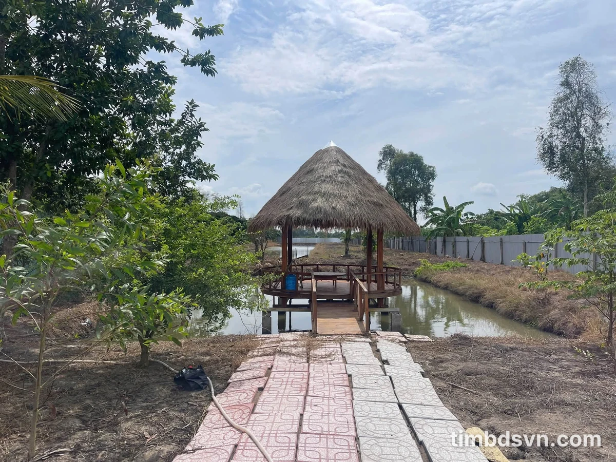 Bán đất 5700m² Cầu Ngã Cạy Cái Chanh 8 tỷ 5 - Ảnh thu nhỏ 4