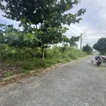 Bán đất tại Phường Mỹ Thạnh, thành phố Long Xuyên (nay là phường Mỹ Thới), tỉnh An Giang - Ảnh thu nhỏ 4