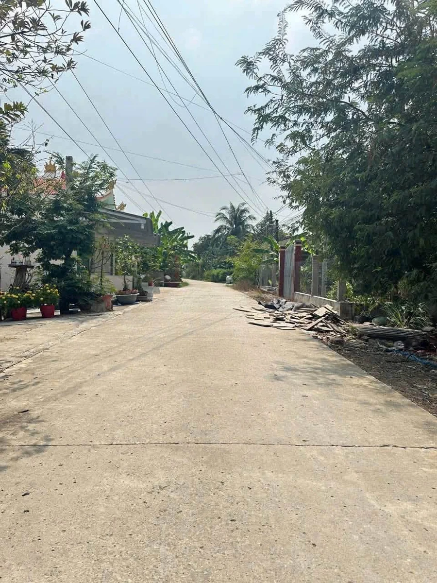 Bán đất xây nhà vườn 309.6m² Bình Tân 1 tỷ 100 triệu - Ảnh thu nhỏ 2