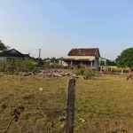 Bán đất thổ cư 91m2 Xã Tây Sơn Bình Định 260 triệu - Ảnh thu nhỏ 2