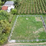 Bán đất 650m² Xã Hàm Liêm, Hà Tĩnh 500 triệu - Ảnh thu nhỏ 1