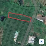 Bán lô đất nông nghiệp 739m² Hàm Hiệp 395 triệu - Ảnh thu nhỏ 1