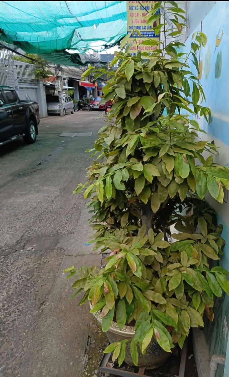Bán nhà mặt tiền hẻm 70m2, 2PN tại Vũng Tàu - Ảnh 1