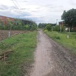 Bán lô đất 5x59m có 50m2 thổ cư giá 199 triệu tại xã Long Chữ, Tây Ninh - Ảnh thu nhỏ 4