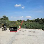 Bán nền mặt tiền Nguyễn Viết Xuân Cần Thơ 165m² - Ảnh thu nhỏ 2